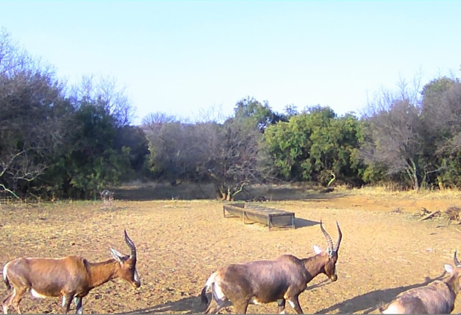 17 Bedroom Property for Sale in Koster North West